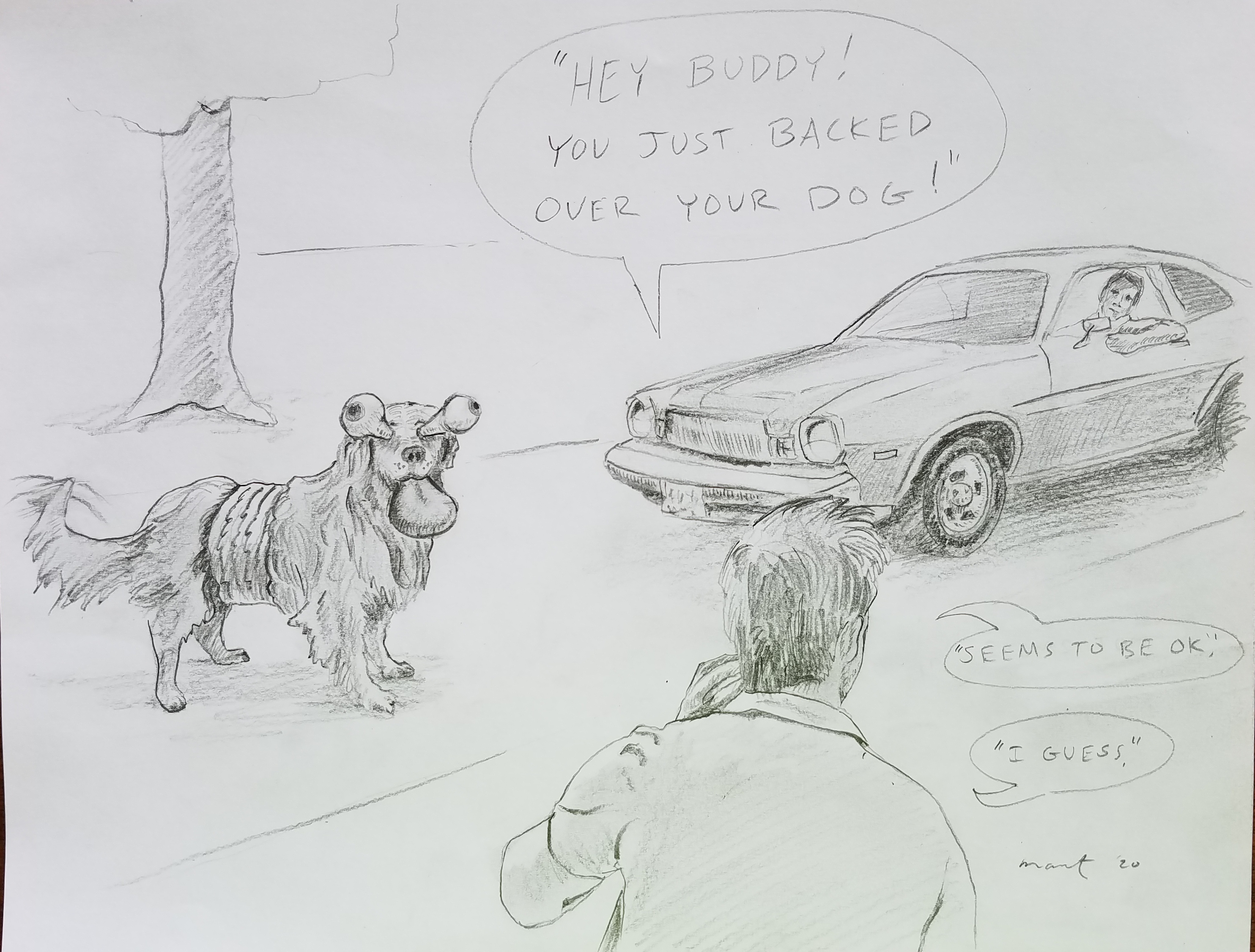 Backed Over Dog