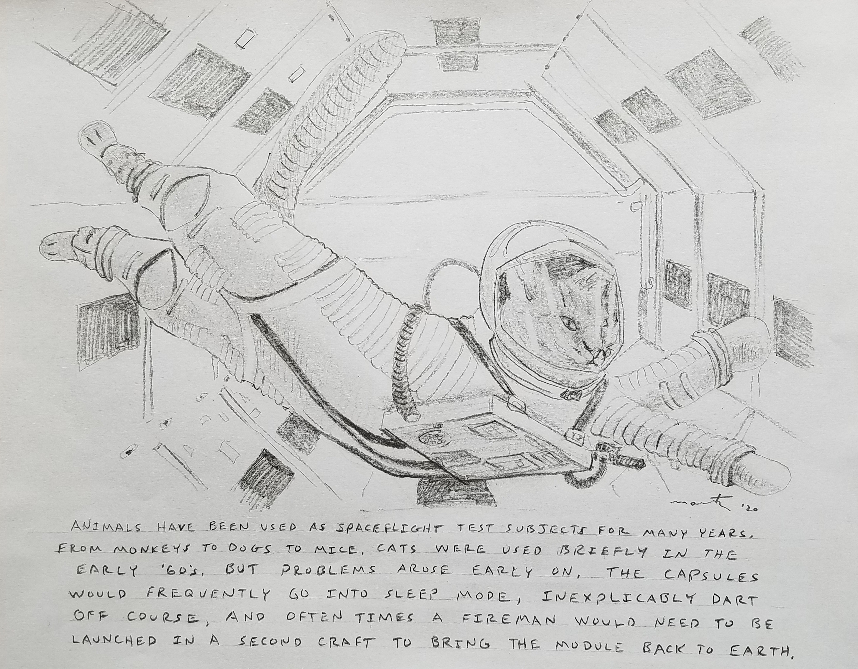 Cats In Space