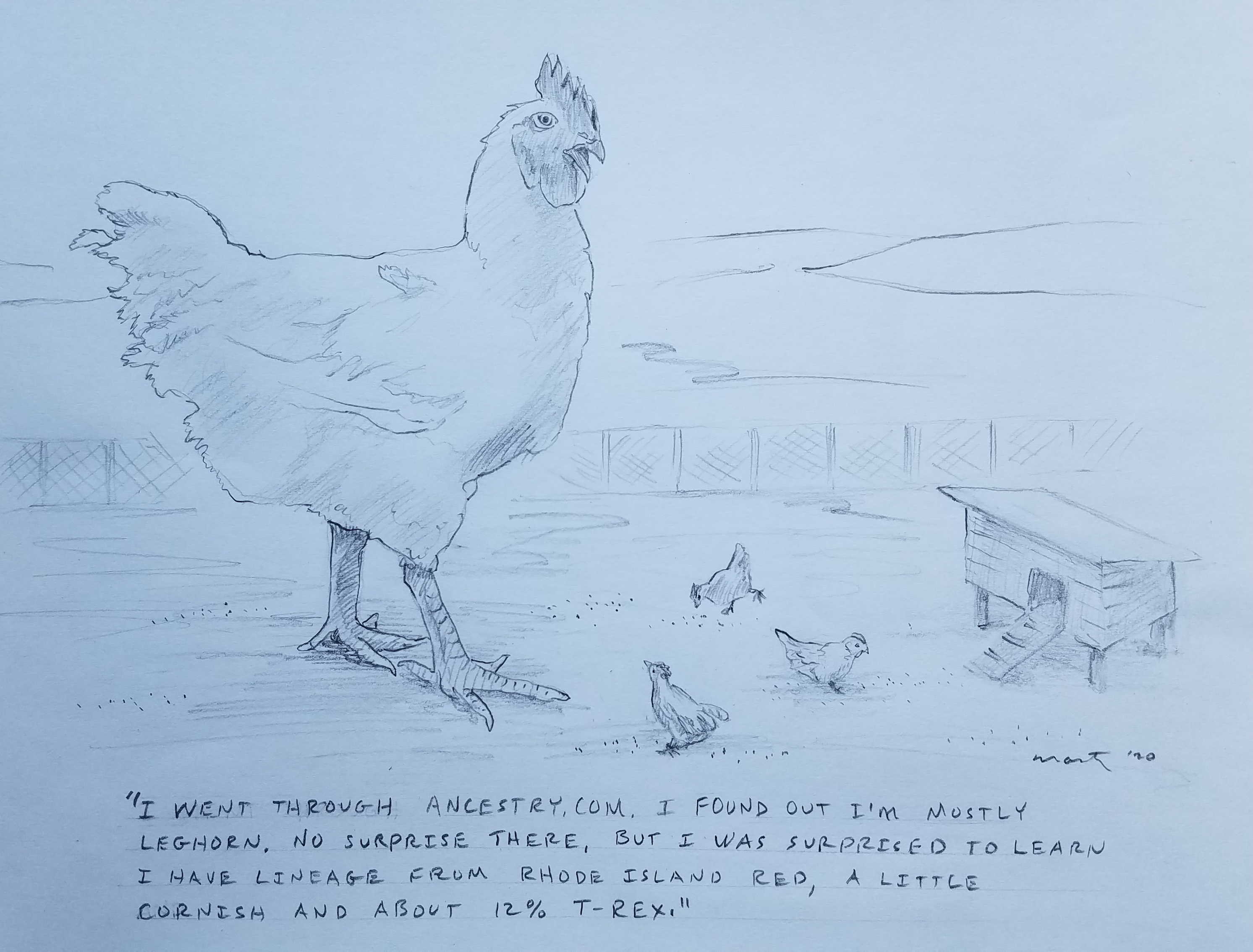 Chicken