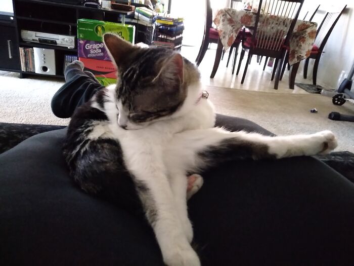 Bathing Is Hard Work