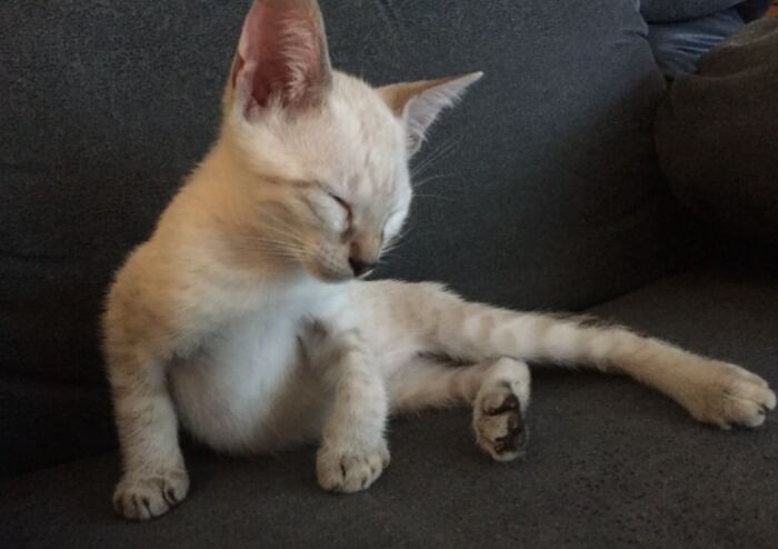 Ok Hes Still A Second From Full Sleep But How Adorable Was My Little Buds? Can't Believe He's Already 5 Now