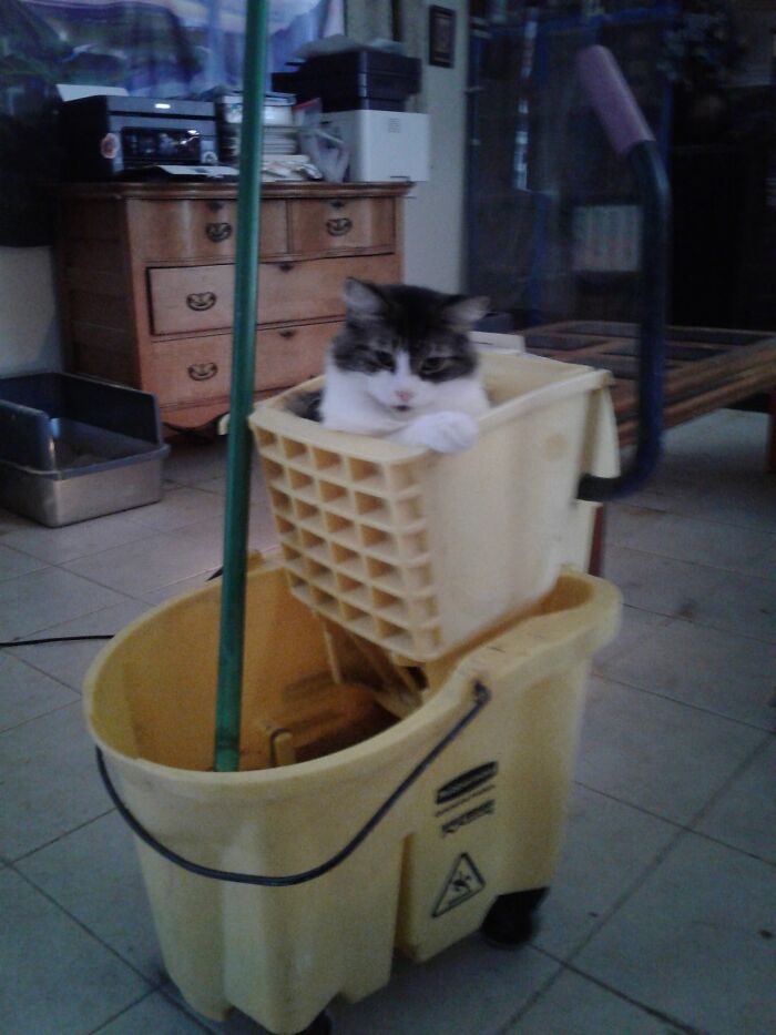 Squeaky Clean & Moppin The Floors With The Competition