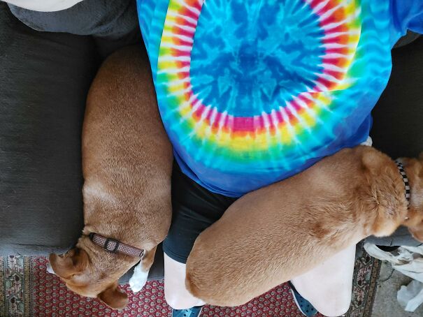 Cuddle Puddle In The Recliner