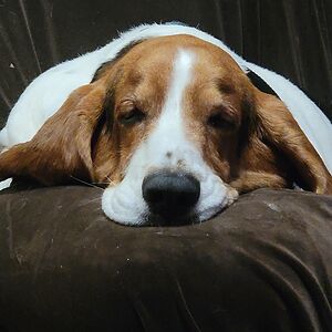 jo_mcclelland88 avatar