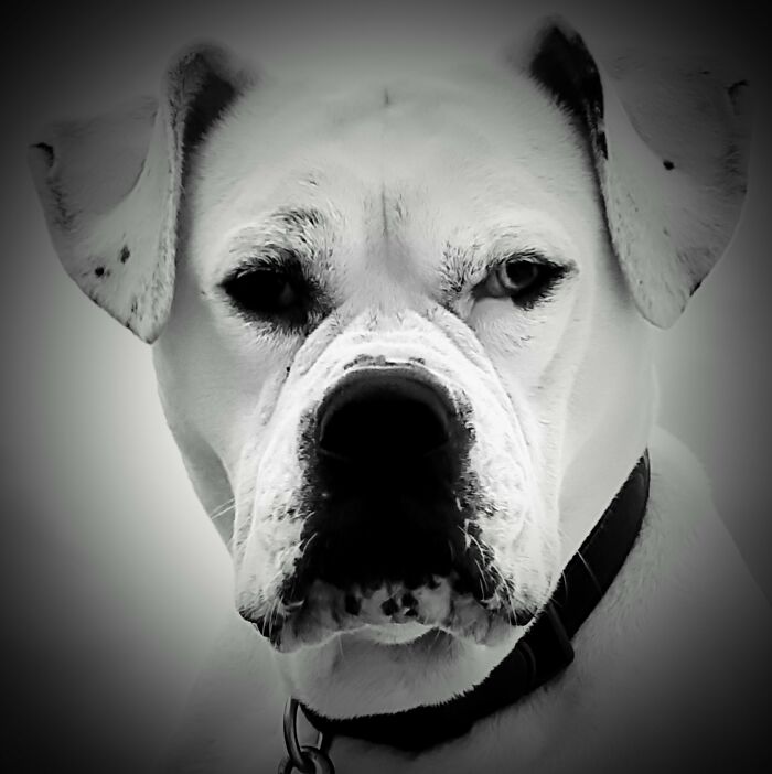 Pretty Proud Of This One