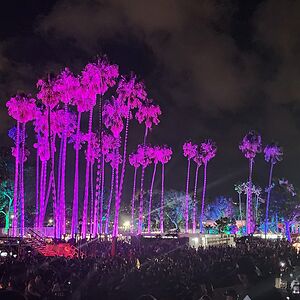 christinaelisa4914 avatar