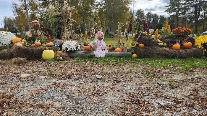 I Captured Our Festive Neighbor's Decorations For Halloween