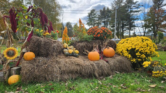 I Captured Our Festive Neighbor's Decorations For Halloween