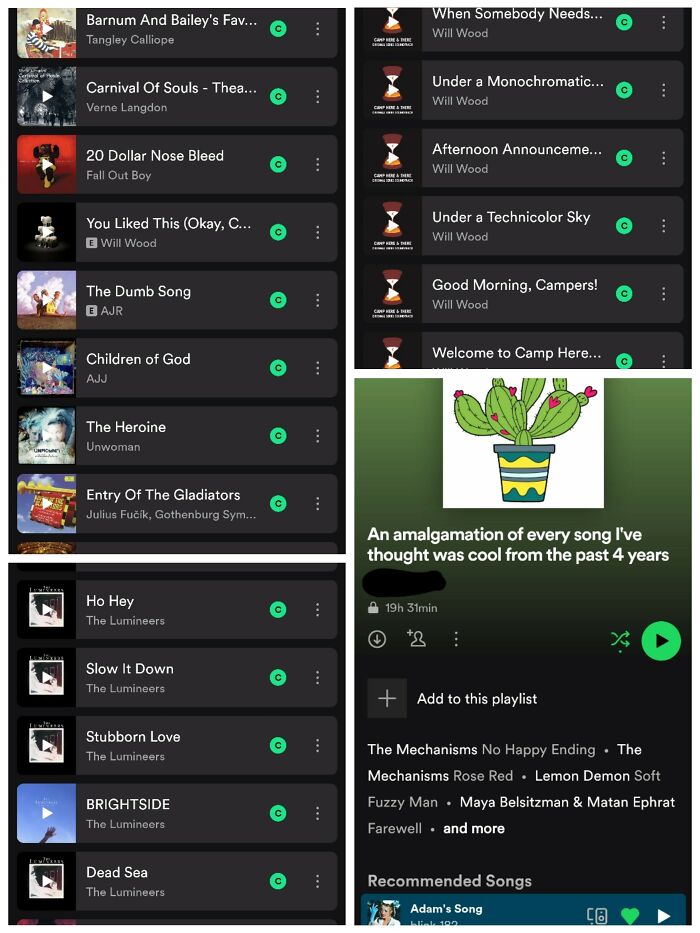 I've Got One Playlist I Use For All The Music I Like, There's So Many Songs On There, And Points Where I Added Pretty Much Entire Albums. It's Got A Wide Variety Of Genres