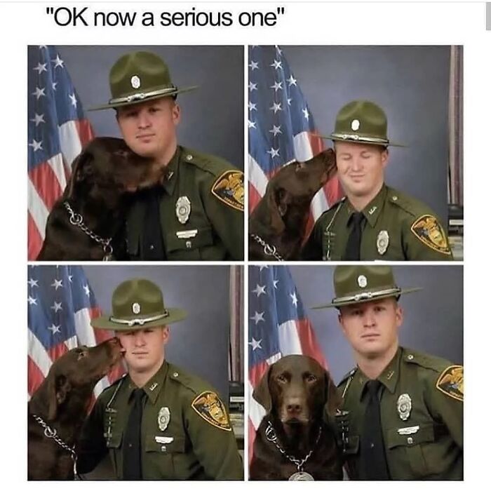 Hilarious-Animal-Memes