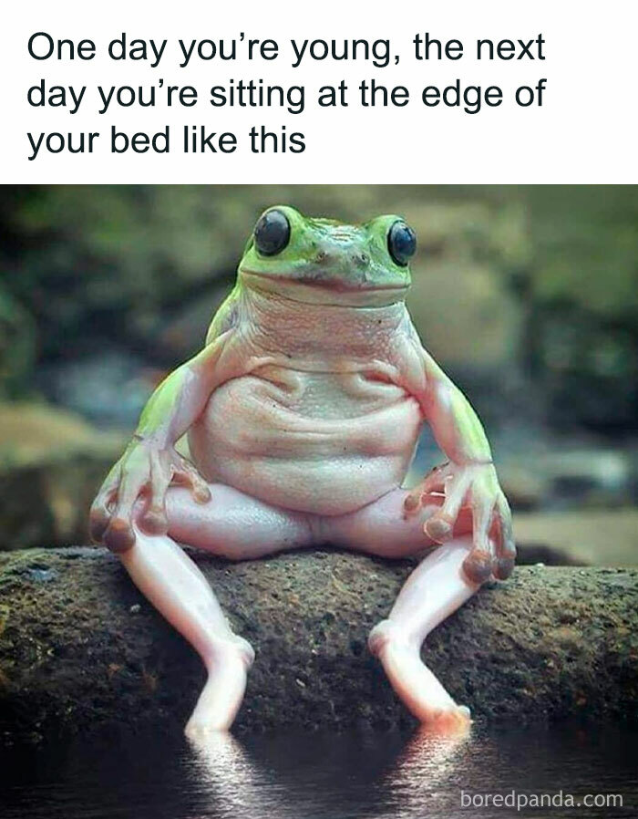 Memes-Introverted-People-Can-Relate