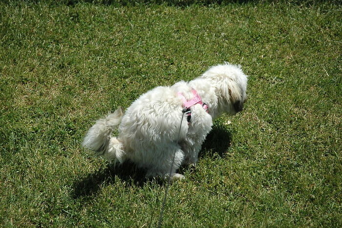 35 Things That Only Trashy People Do, According To The Internet