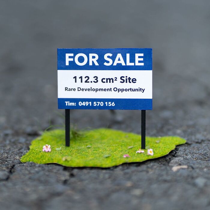 Artist Places Funny Signs In His City And They Look Like Art Installations (28 New Pics)