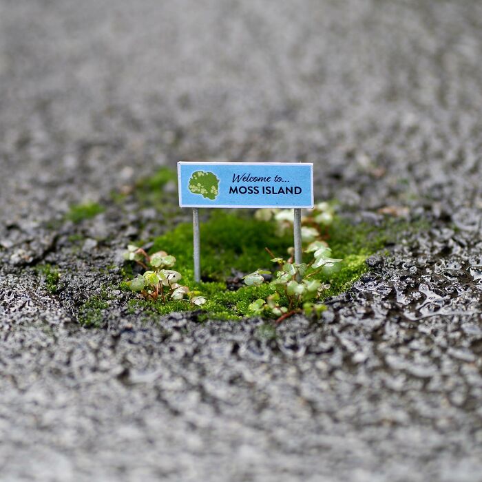 Artist Places Funny Signs In His City And They Look Like Art Installations (28 New Pics)