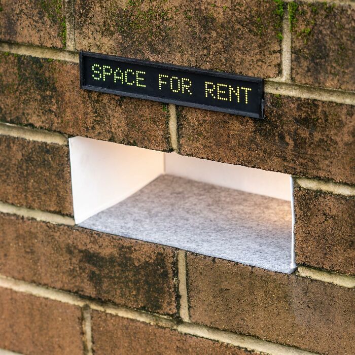 Artist Places Funny Signs In His City And They Look Like Art Installations (28 New Pics)