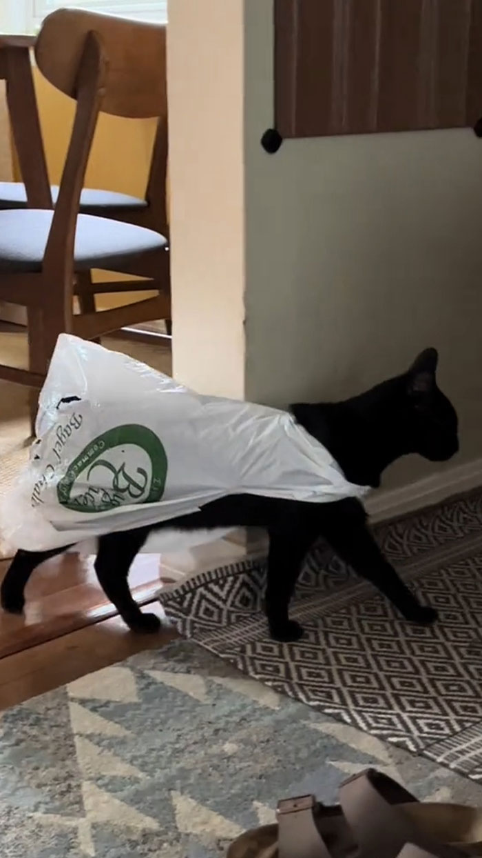 He Does It To Himself