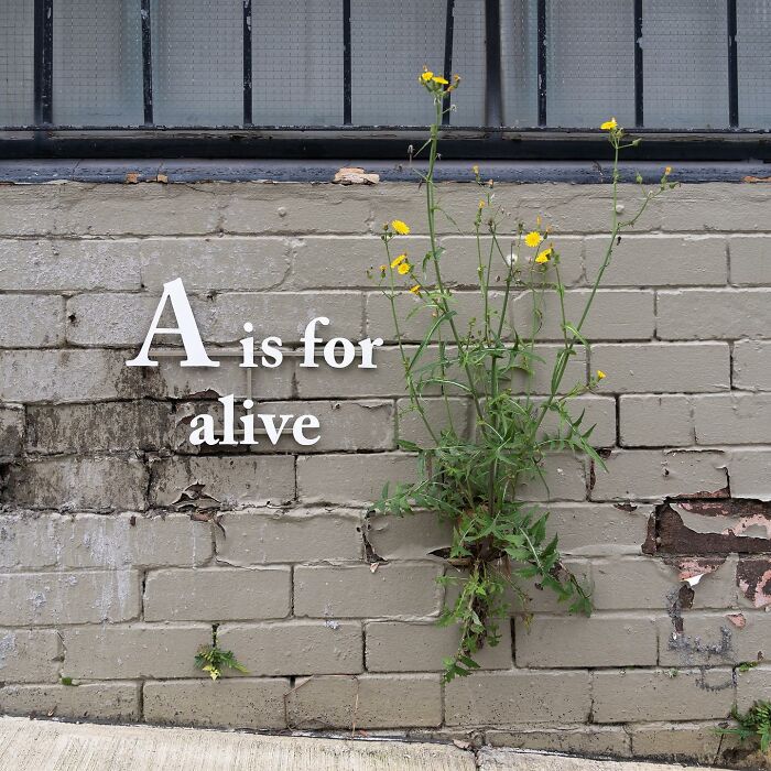 Artist Places Funny Signs In His City And They Look Like Art Installations (28 New Pics)