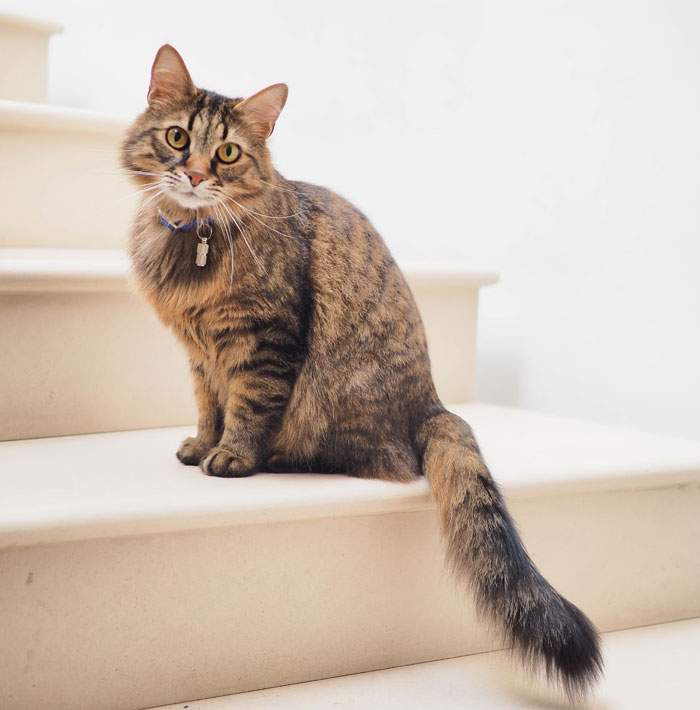 20 Datos científicamente probados que la gente se niega a aceptar