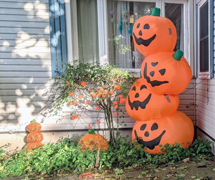 Stolen Halloween Decor