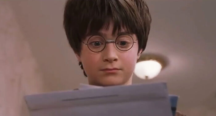 &ldquo;This Is What Aunt Petunia Is Really Doing&rdquo;: Potterheads Discover New Easter Egg