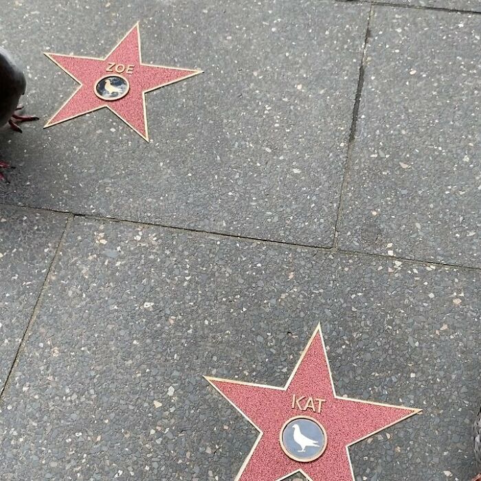 Artist Places Funny Signs In His City And They Look Like Art Installations (28 New Pics)