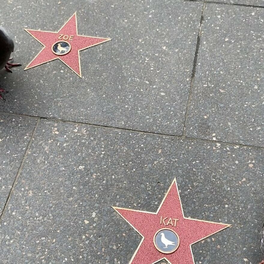 Artist Intervenes In Public Places In A Very Fun Way (28 New Pics)