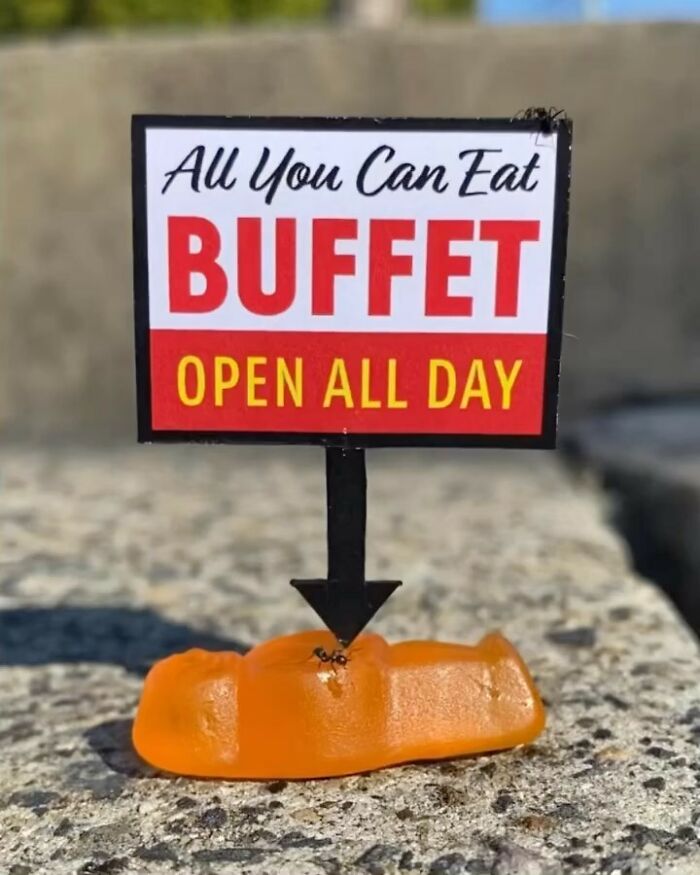 Artist Places Funny Signs In His City And They Look Like Art Installations (28 New Pics)