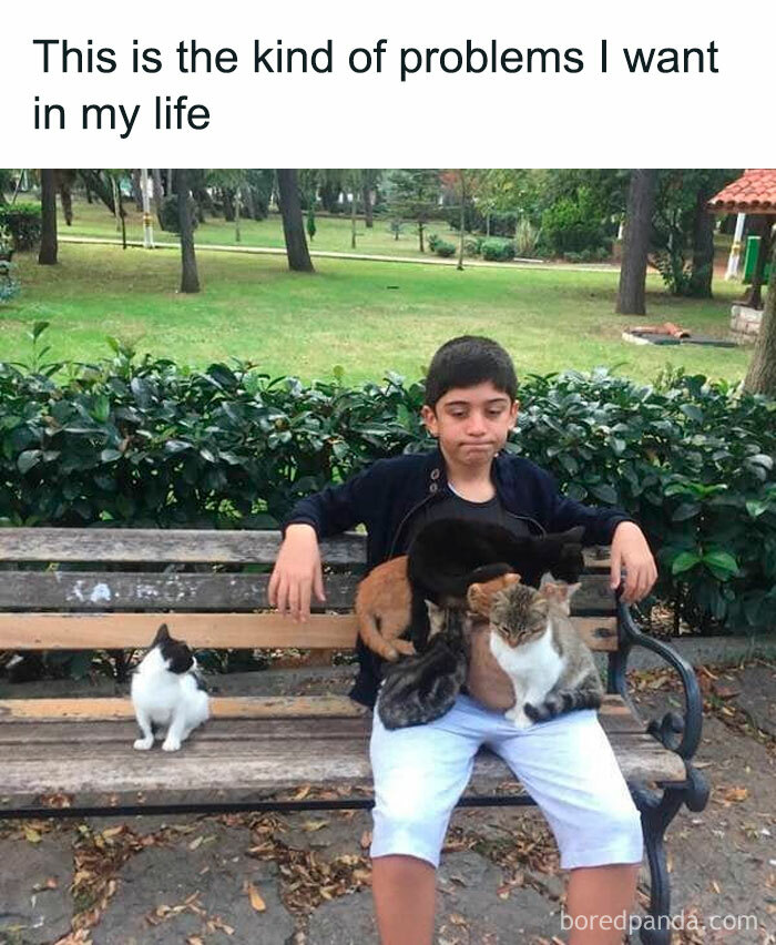 Memes-Introverted-People-Can-Relate