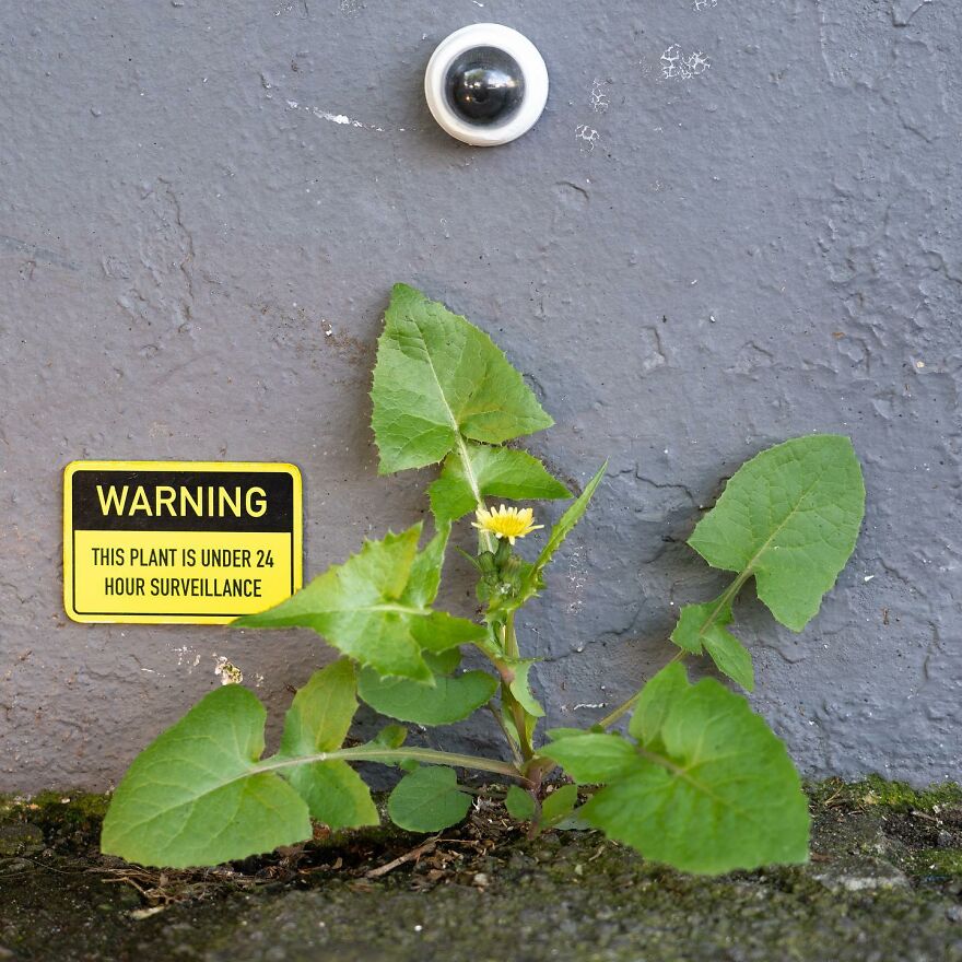 Artist Intervenes In Public Places In A Very Fun Way (28 New Pics)