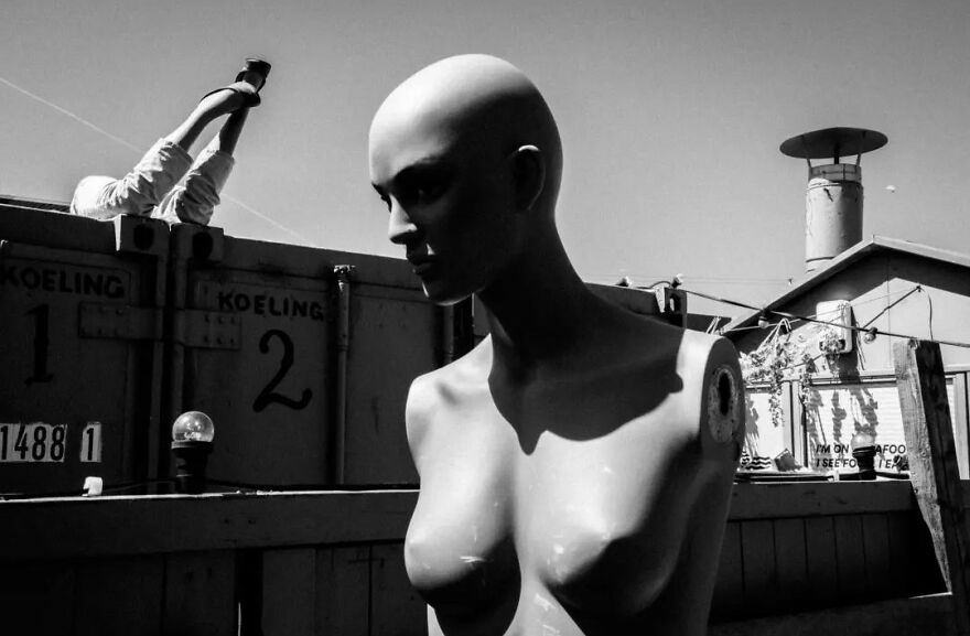 This Belgian Photographer Captures Funny And Extraordinary Scenes Of Everyday Life (49 New Pics)