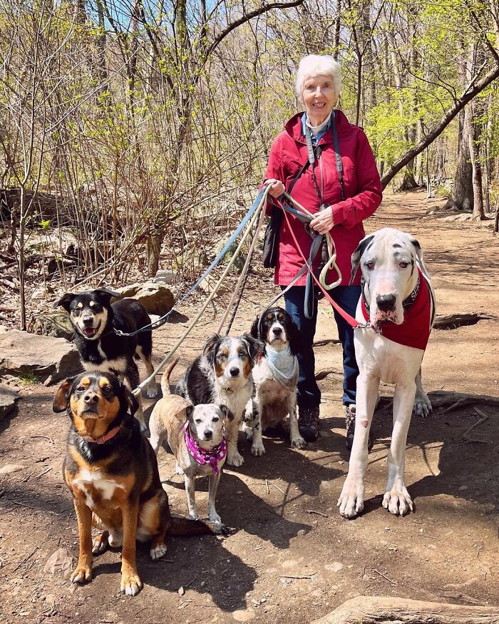 Great Dane Meets Elderly Woman On A Hike, Decides She’s His Grandma Now Great Dane Meets Elderly Woman On A Hike, Decides She’s His Grandma Now
