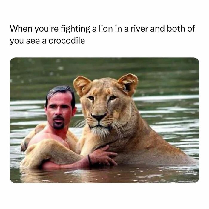 Hilarious-Animal-Memes