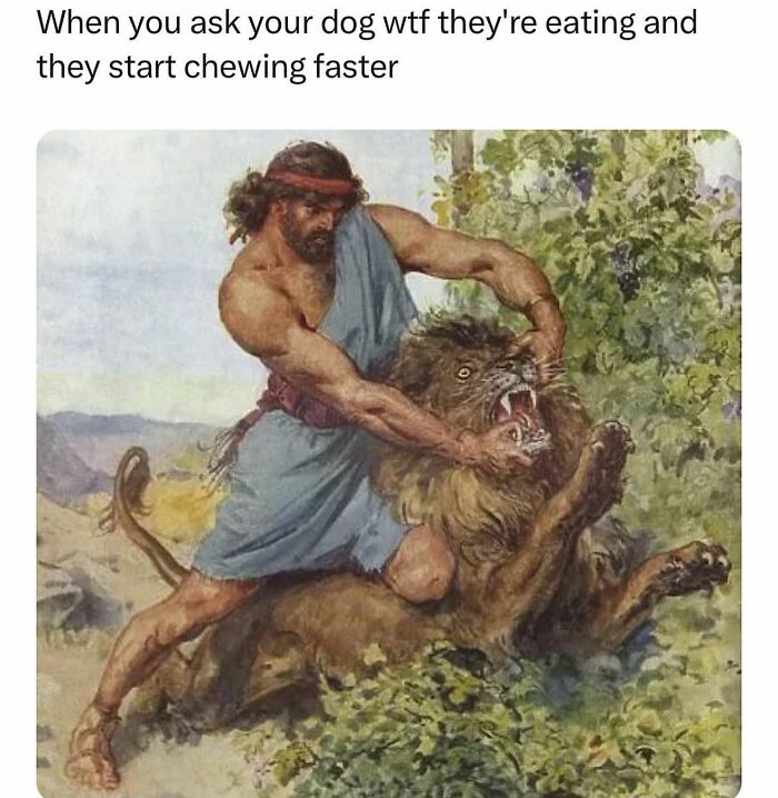 Hilarious-Animal-Memes