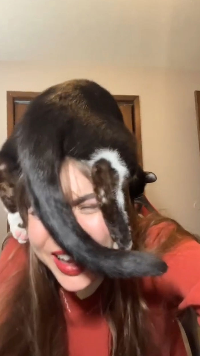 He Was Attacking My Hair And Needed A Better Angle