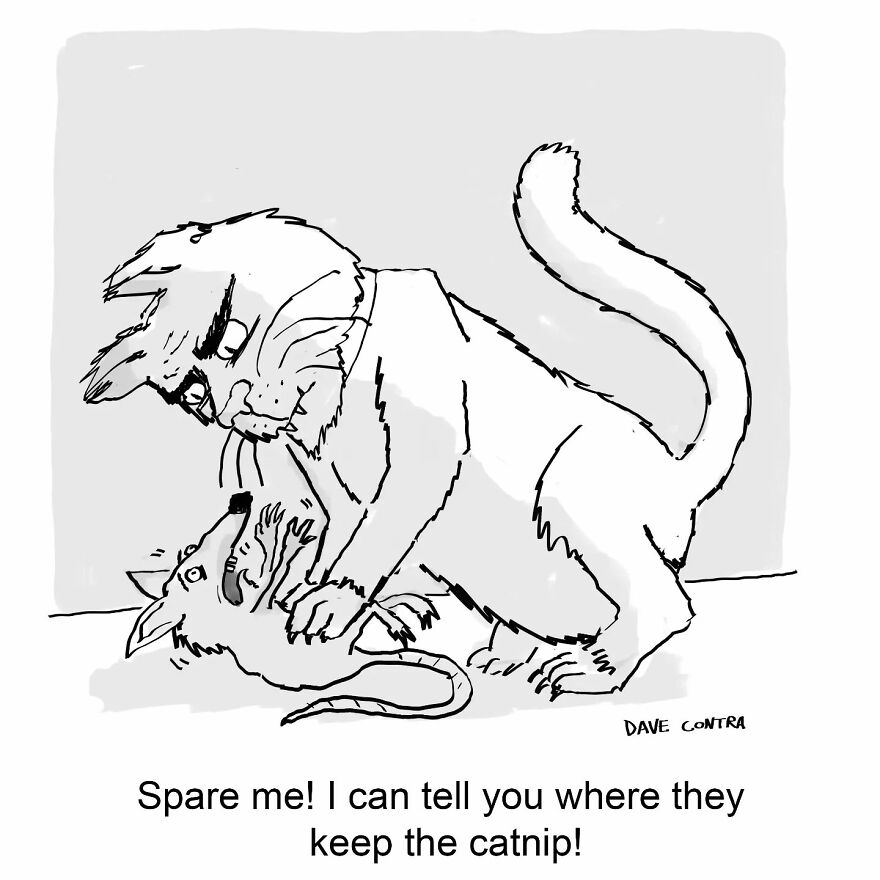 By Dave Contra, Here Are The 69 New Dark Comics Which Are Full Of Unexpected Twists