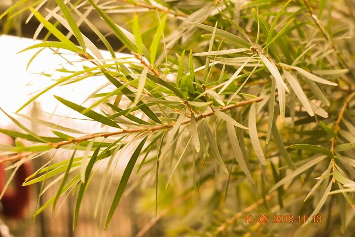 This Picture Inspires Me Because It Is One Of The First/Best I Took In My Very First Photography Lesson!