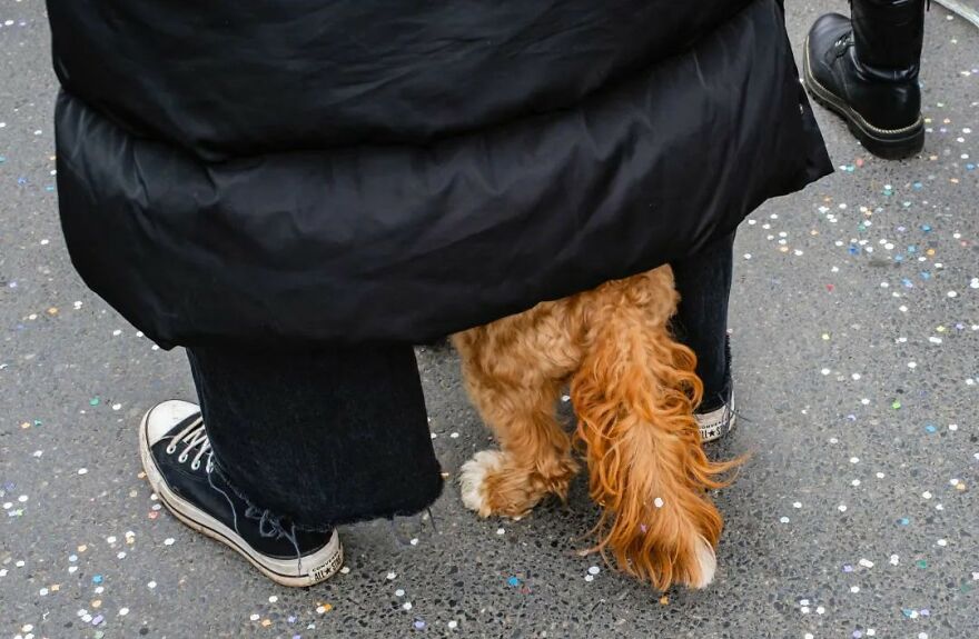 This Belgian Photographer Captures Funny And Extraordinary Scenes Of Everyday Life (49 New Pics)