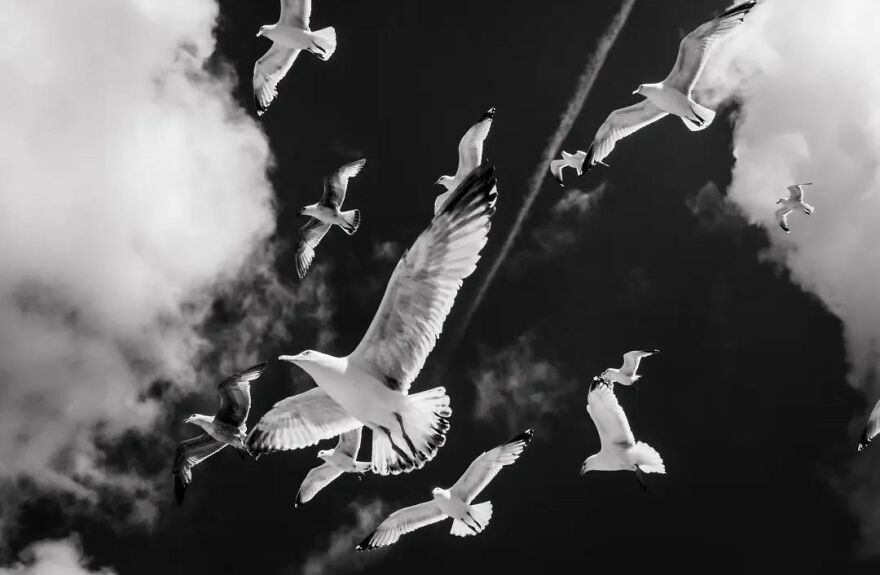 This Belgian Photographer Captures Funny And Extraordinary Scenes Of Everyday Life (49 New Pics)