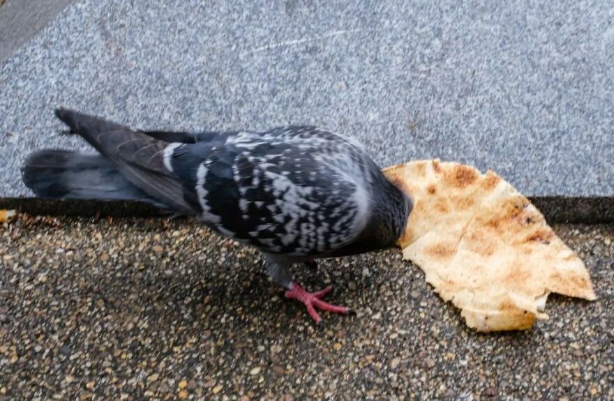 This Belgian Photographer Captures Funny And Extraordinary Scenes Of Everyday Life (49 New Pics)