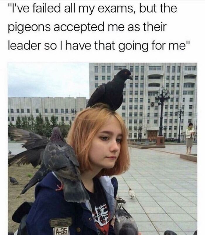 Hilarious-Animal-Memes