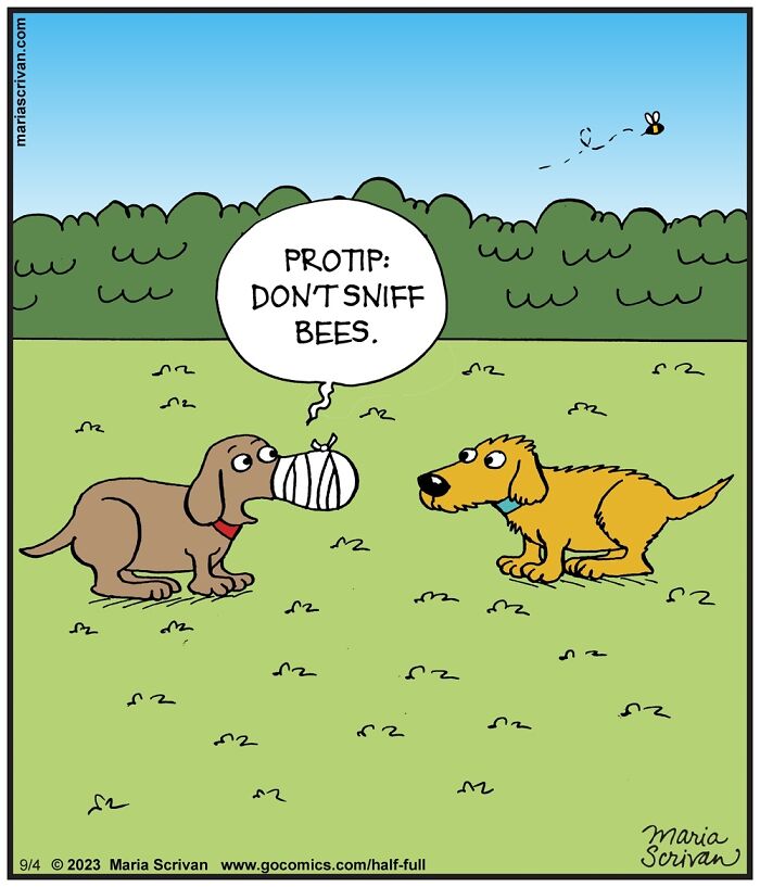 Cartoonist Maria Scrivan Giggles Her Audience Only Through Single-Panel (44 New Pics)