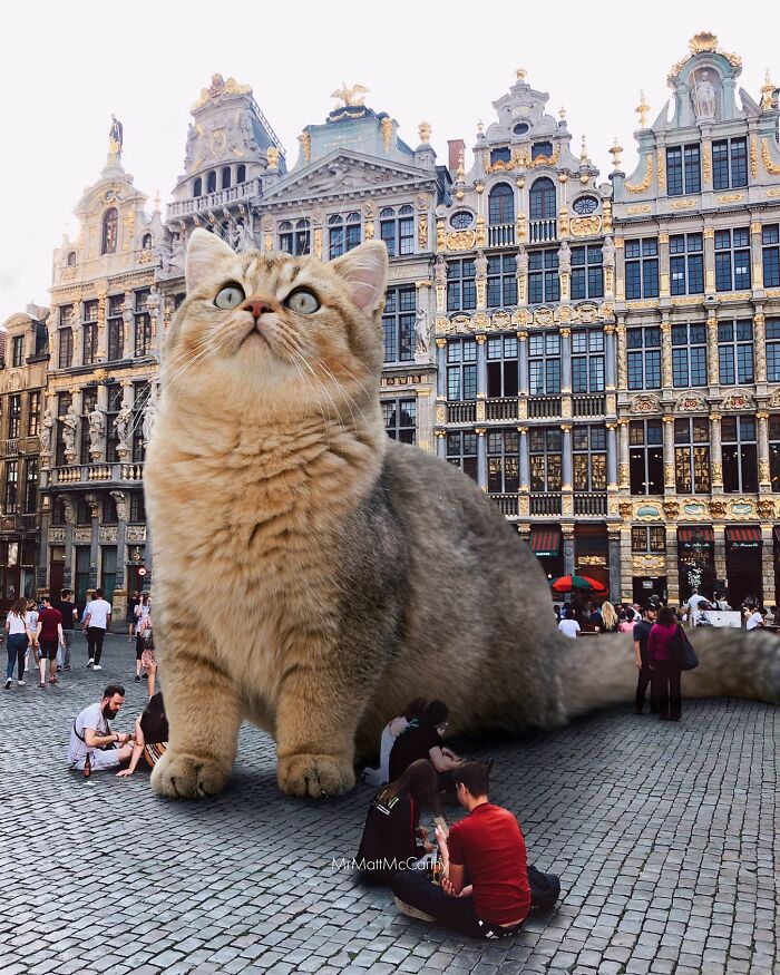 Artist Creates A Parallel World Where There Are Giant Cats Everywhere — And Everyone Thinks It's Normal (New Pics)