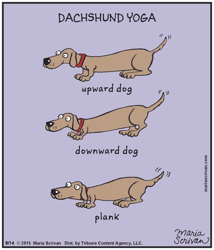 Cartoonist Maria Scrivan Giggles Her Audience Only Through Single-Panel (44 New Pics)