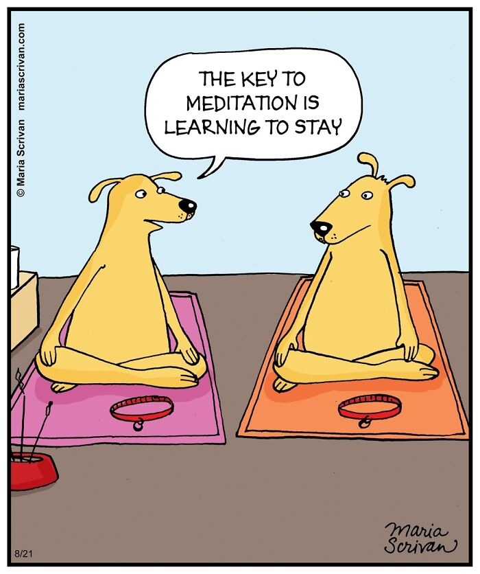 Cartoonist Maria Scrivan Giggles Her Audience Only Through Single-Panel (44 New Pics)