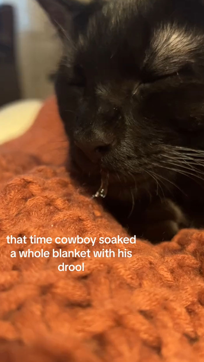 I Endex Up Taking Him To The Vet The Next Day And He Was Totally Fine, His Ego Was Not