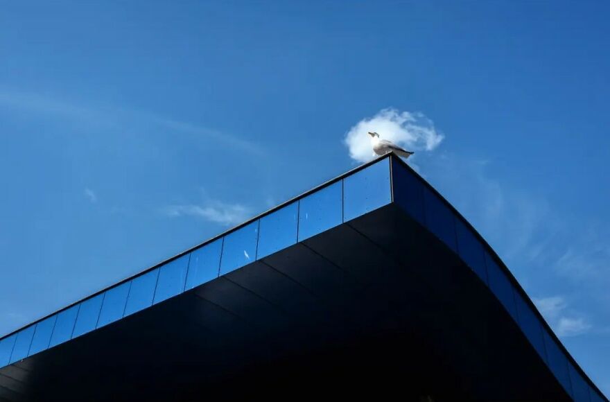 This Belgian Photographer Captures Funny And Extraordinary Scenes Of Everyday Life (49 New Pics)