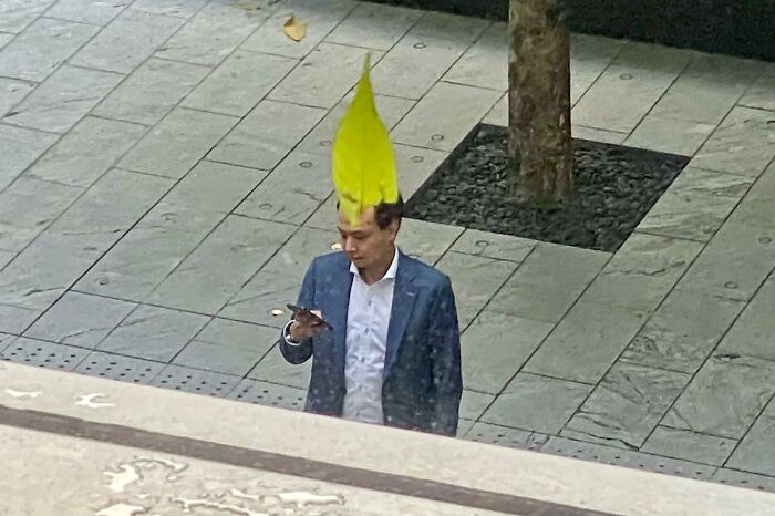 30 Perfectly Timed Shots By Edas Wong (New Pics)