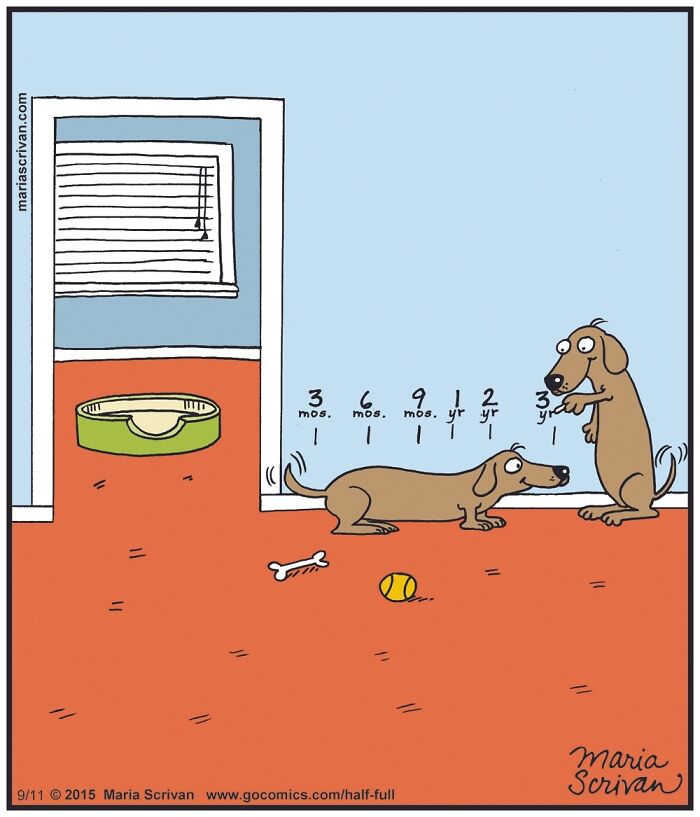 Cartoonist Maria Scrivan Giggles Her Audience Only Through Single-Panel (44 New Pics)