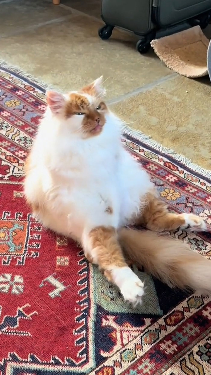 Thinks She’s Washing Her Leg