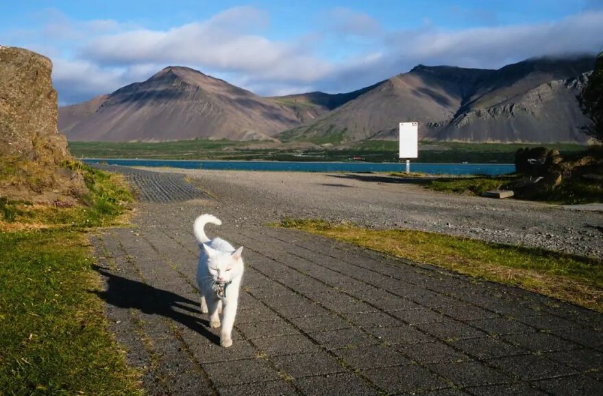 This Belgian Photographer Captures Funny And Extraordinary Scenes Of Everyday Life (49 New Pics)